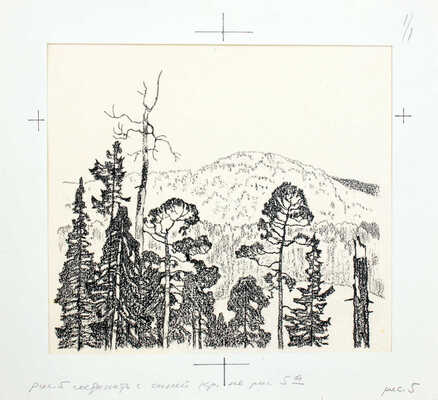 Кузнецов Леонид Трофимович. Макет из 27 иллюстраций и книга К.Д. Ушинского «Рассказы и сказки» (М.: Дет. лит., 1975)